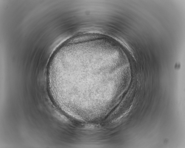 X0000091560790200709141535