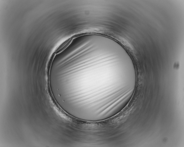 X0000091560792200709141535