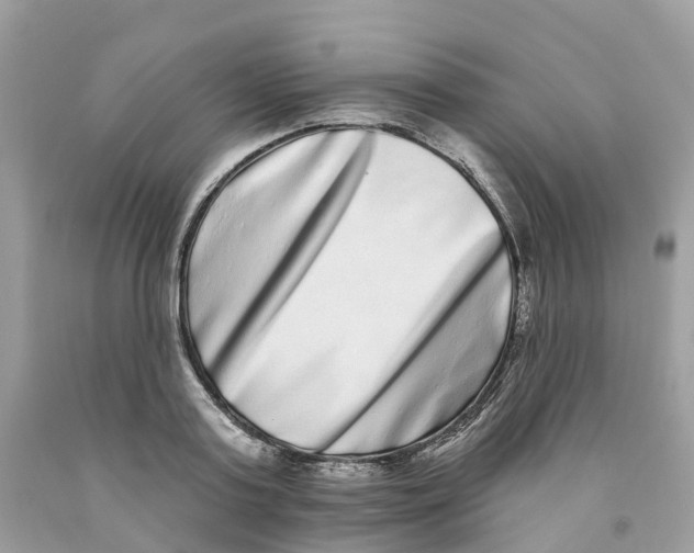 X0000091560795200709141535