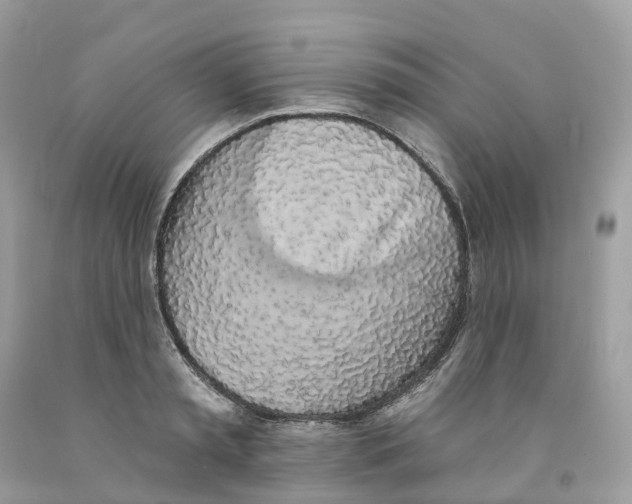 X0000091560797200709141535