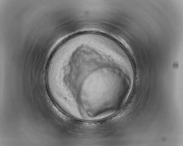 X0000091560799200709141535