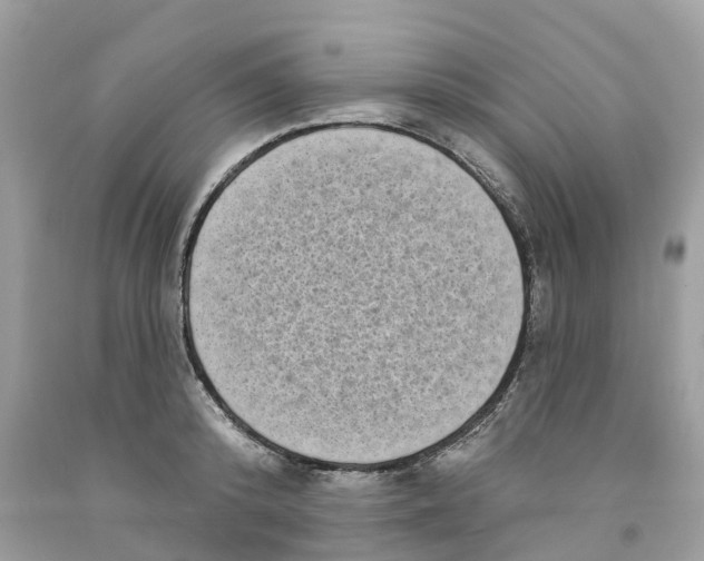 X0000091560800200709141535