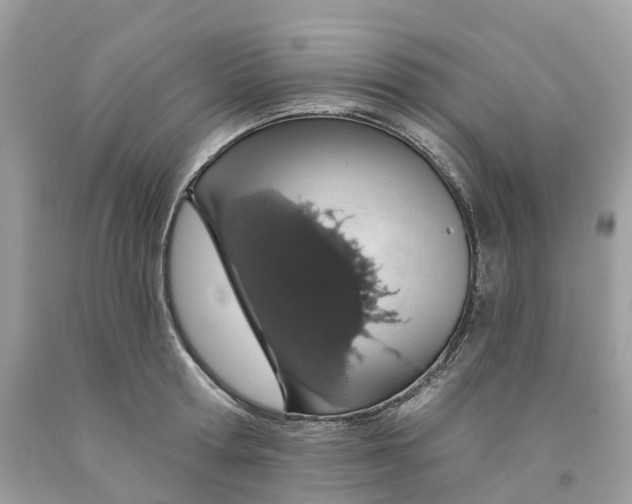 X0000091560802200709141535