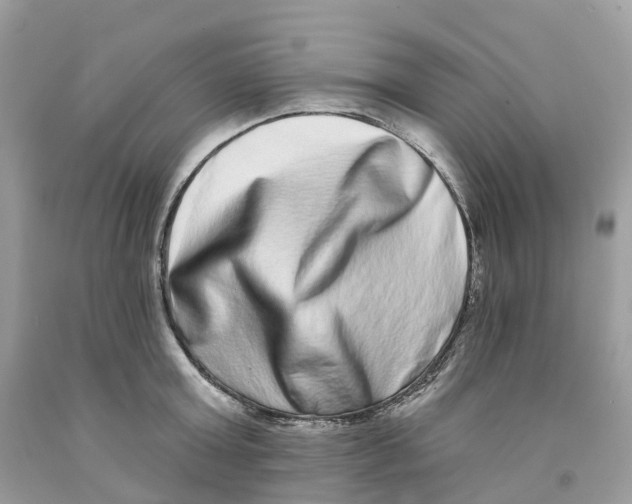 X0000091560803200709141535