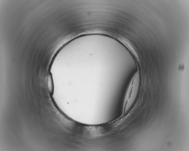 X0000091560805200709141534