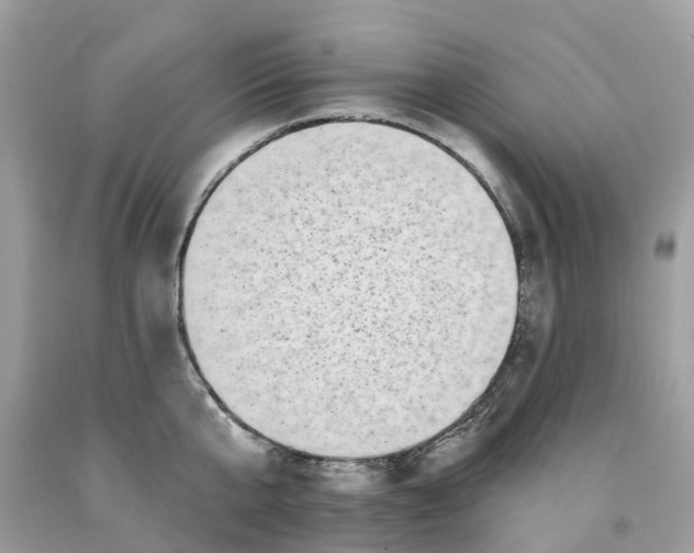 X0000091560807200709141534