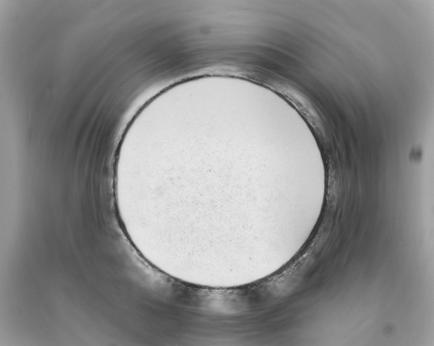 X0000091560808200709141534