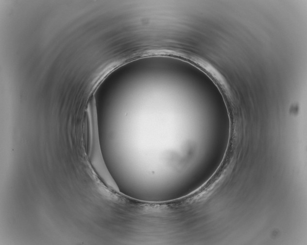 X0000091560809200709141534