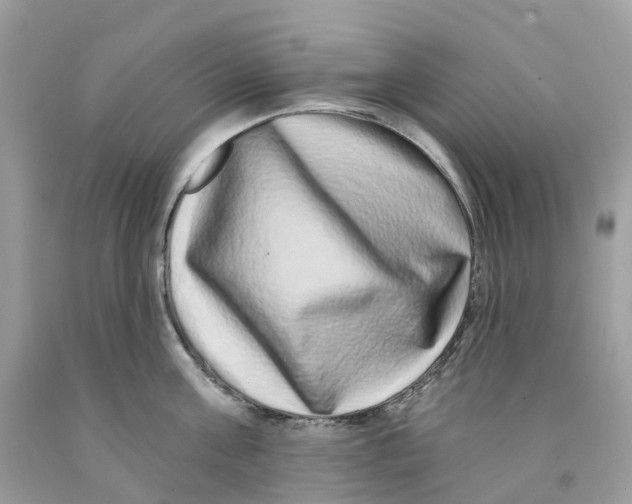 X0000091560811200709141534