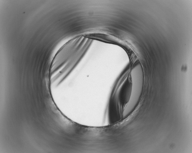 X0000091560812200709141534