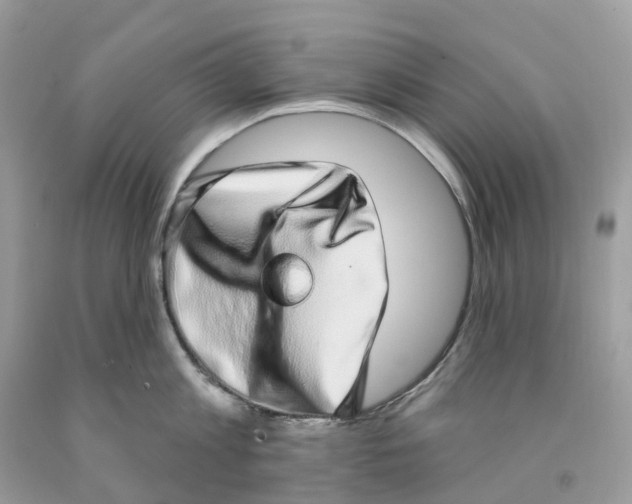 X0000091560813200709141534