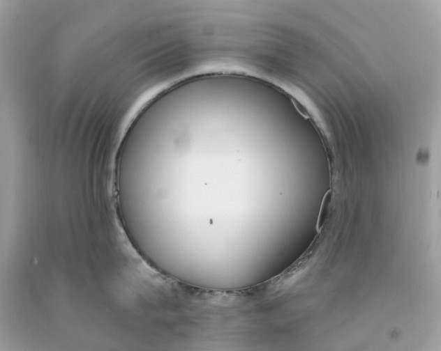 X0000091560815200709141534