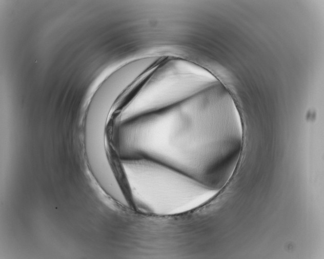 X0000091560816200709141534