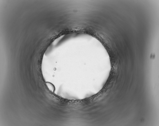 X0000091560817200709141534