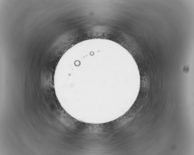 X0000091560820200709141534