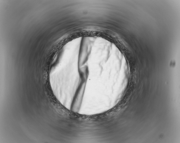 X0000091560821200709141534