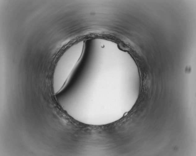 X0000091560822200709141534