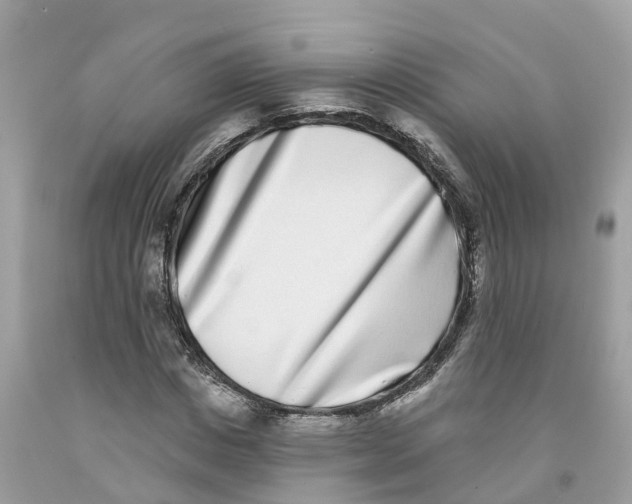 X0000091560825200709141534