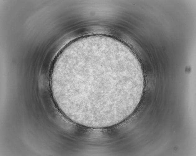 X0000091560828200709141534