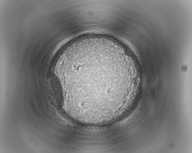 X0000091560829200709141534