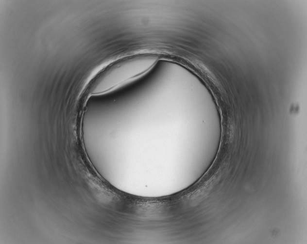 X0000091560830200709141534