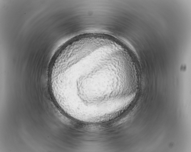 X0000091560831200709141534