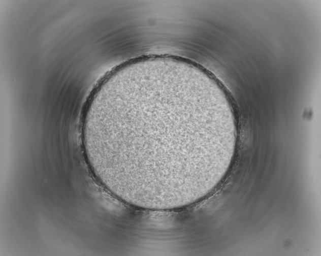 X0000091560832200709141534