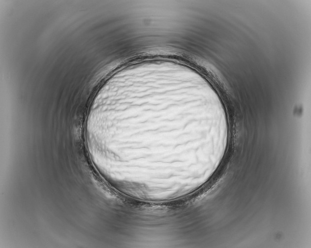 X0000091560833200709141534