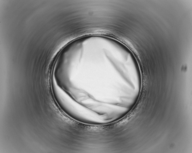 X0000091560835200709141534