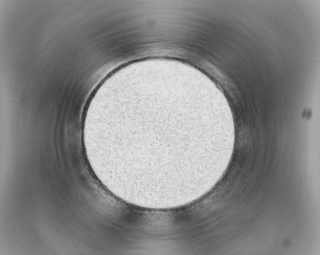 X0000091560836200709141534