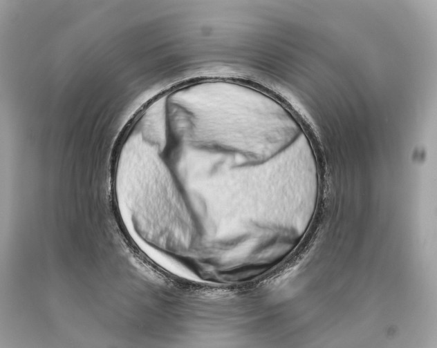 X0000091560837200709141534