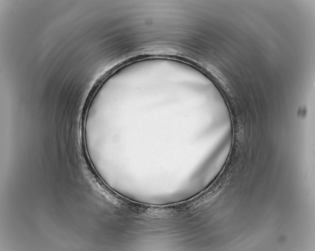 X0000091560840200709141534