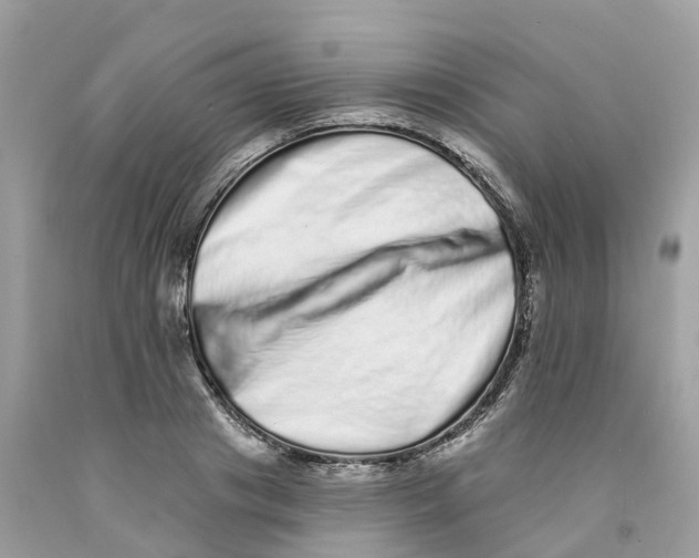 X0000091560841200709141534