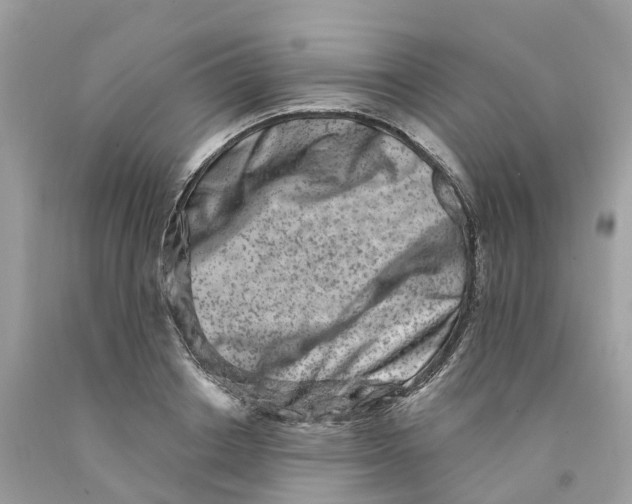 X0000091560842200709141534