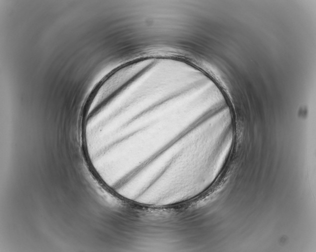 X0000091560843200709141534