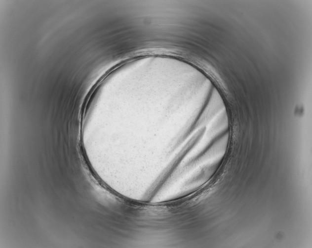 X0000091560844200709141534