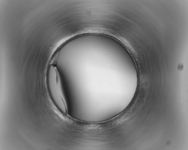 X0000091560846200709141534