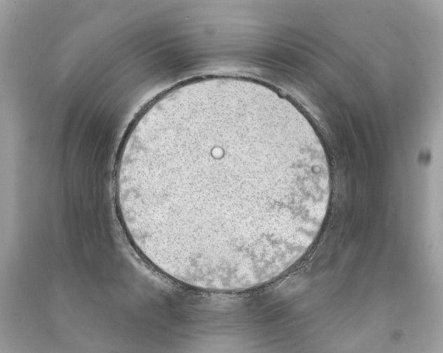 X0000091560848200709141534