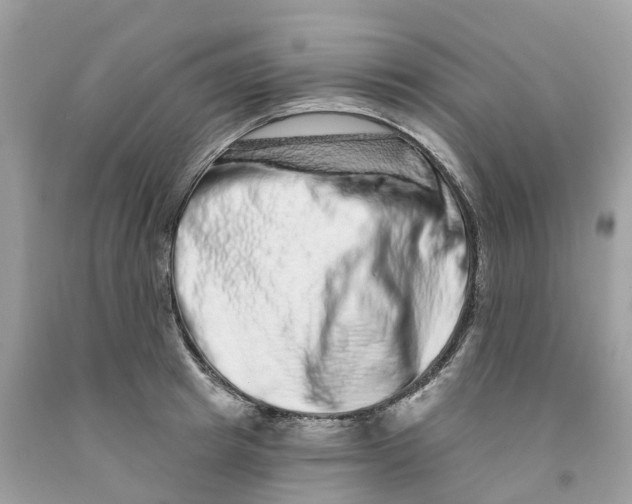 X0000091560849200709141534