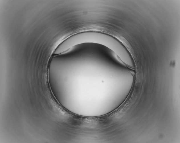 X0000091560850200709141534