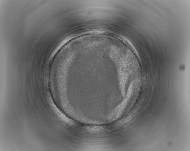 X0000091560851200709141534