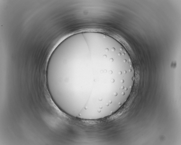 X0000091560852200709141534