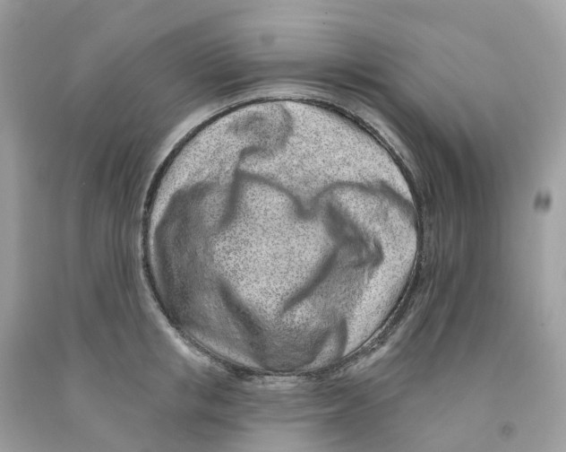 X0000091560853200709141534