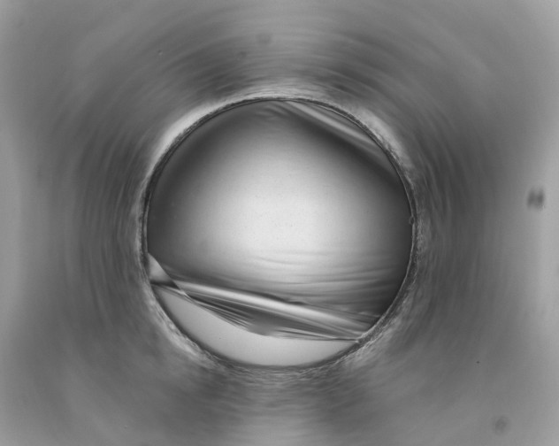 X0000091560854200709141534