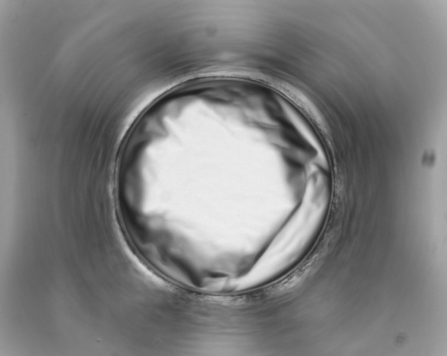 X0000091560855200709141534