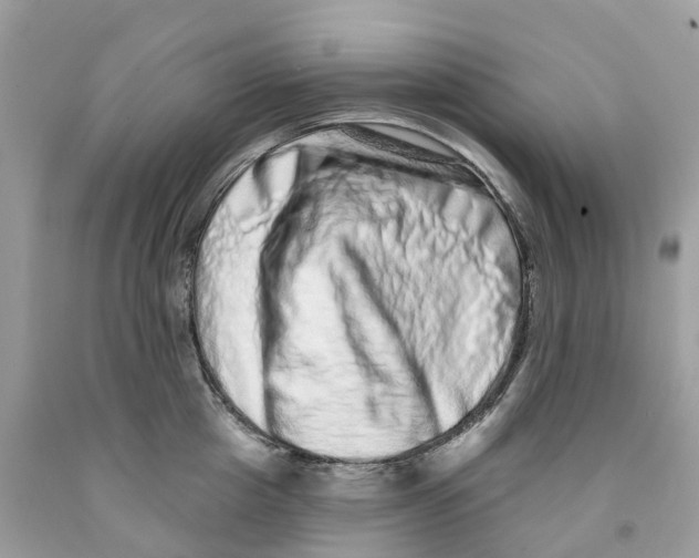 X0000091560857200709141534