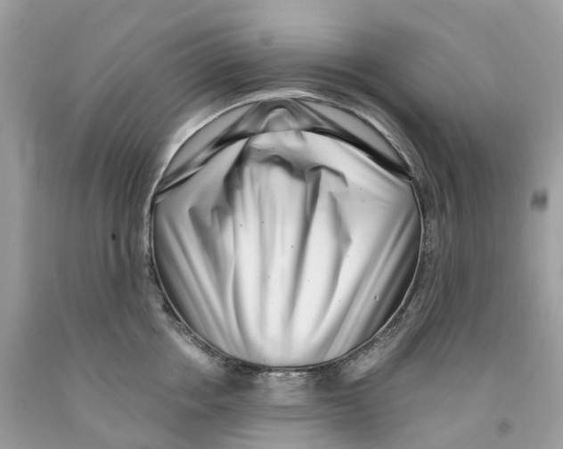 X0000091560858200709141534