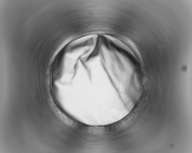 X0000091560859200709141534