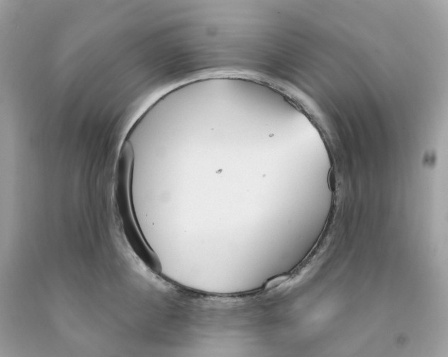 X0000091560860200709141534