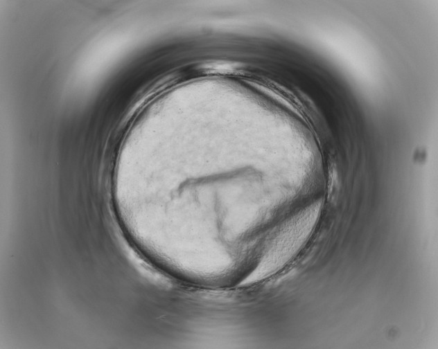 X0000091560861200709141534